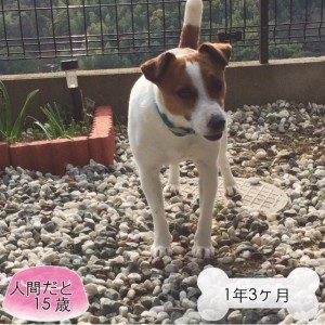 20150415_074448000_iOS