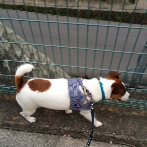 20150416_100851000_iOS