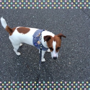 20150417_094634000_iOS