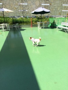 20150502_080246000_iOS