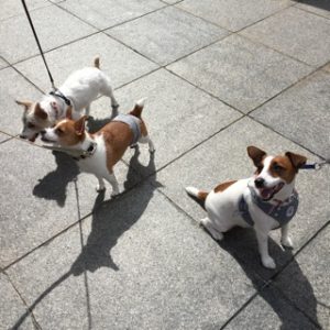 20161021_085221763_ios