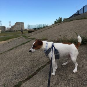 20161021_091557642_ios