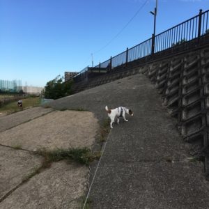 20161021_091557654_ios