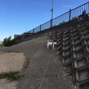 20161021_091557659_ios