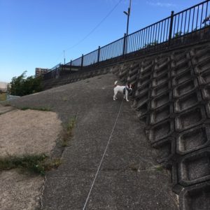 20161021_091557664_ios