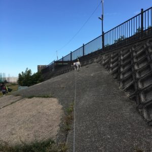 20161021_091557669_ios