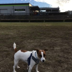 20161021_091557678_ios